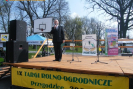 Obraz 055