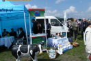 Obraz 066