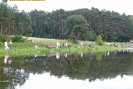15.07.09 138.jpg