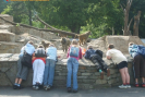 ZOO we Wrocławiu.JPG