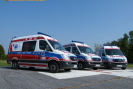 obraz_005.jpg