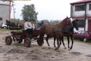 obraz_011.jpg