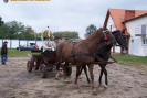 obraz_026.jpg