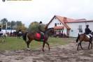 obraz_066.jpg