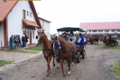 obraz_085.jpg