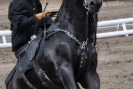 obraz_049.jpg