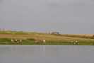 obraz_096.jpg