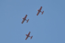 obraz_474.jpg