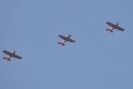 obraz_513.jpg