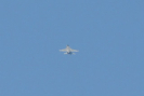 obraz_379.jpg