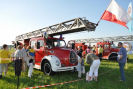 obraz_619.jpg