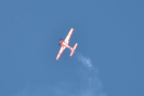 obraz_583.jpg