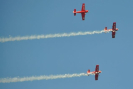 obraz_503.jpg