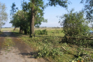 wichura_5_09_2011_014.jpg