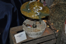 dsc_0157.jpg