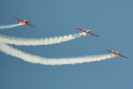 obraz_484.jpg