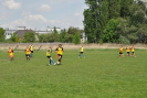 obraz_023.jpg