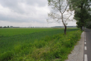 dsc_0126.jpg