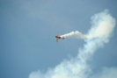 01_obraz_336.jpg