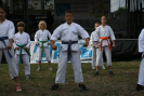 festyn_2012_394.jpg