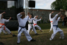 festyn_2012_395.jpg