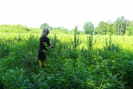 SAM_0406