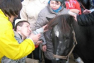 konie2012 067