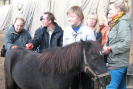 konie2012_092.jpg