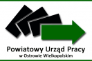 logo_pup_gotowe copy