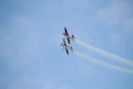 dsc_0600.jpg