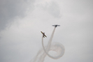 dsc_0831.jpg