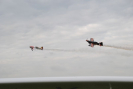 dsc_0851.jpg
