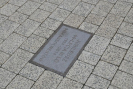 dsc_0080.jpg