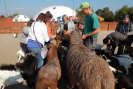 dscn1710.jpg