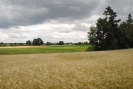 dsc_0150.jpg