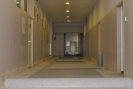 dsc_0175.jpg