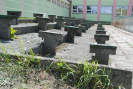 dsc_0012.jpg