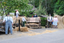 dsc_0377.jpg