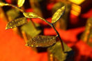 2011101713144855b