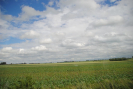 dsc_0304.jpg