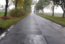 borowiec__1_.jpg