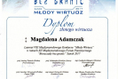 dyplom_sanok_2017.jpg
