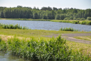dsc_0766.jpg