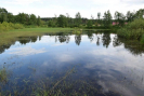 dsc_0877.jpg