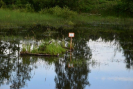 dsc_0895.jpg