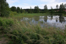 dsc_0865.jpg