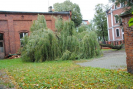 dsc_0013.jpg