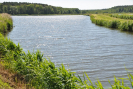 dsc_0765.jpg