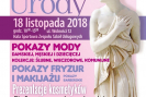 01_festiwal_stylu_2018_plakat_a3_kopia_01.jpg