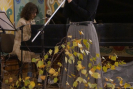 dsc03727.jpg